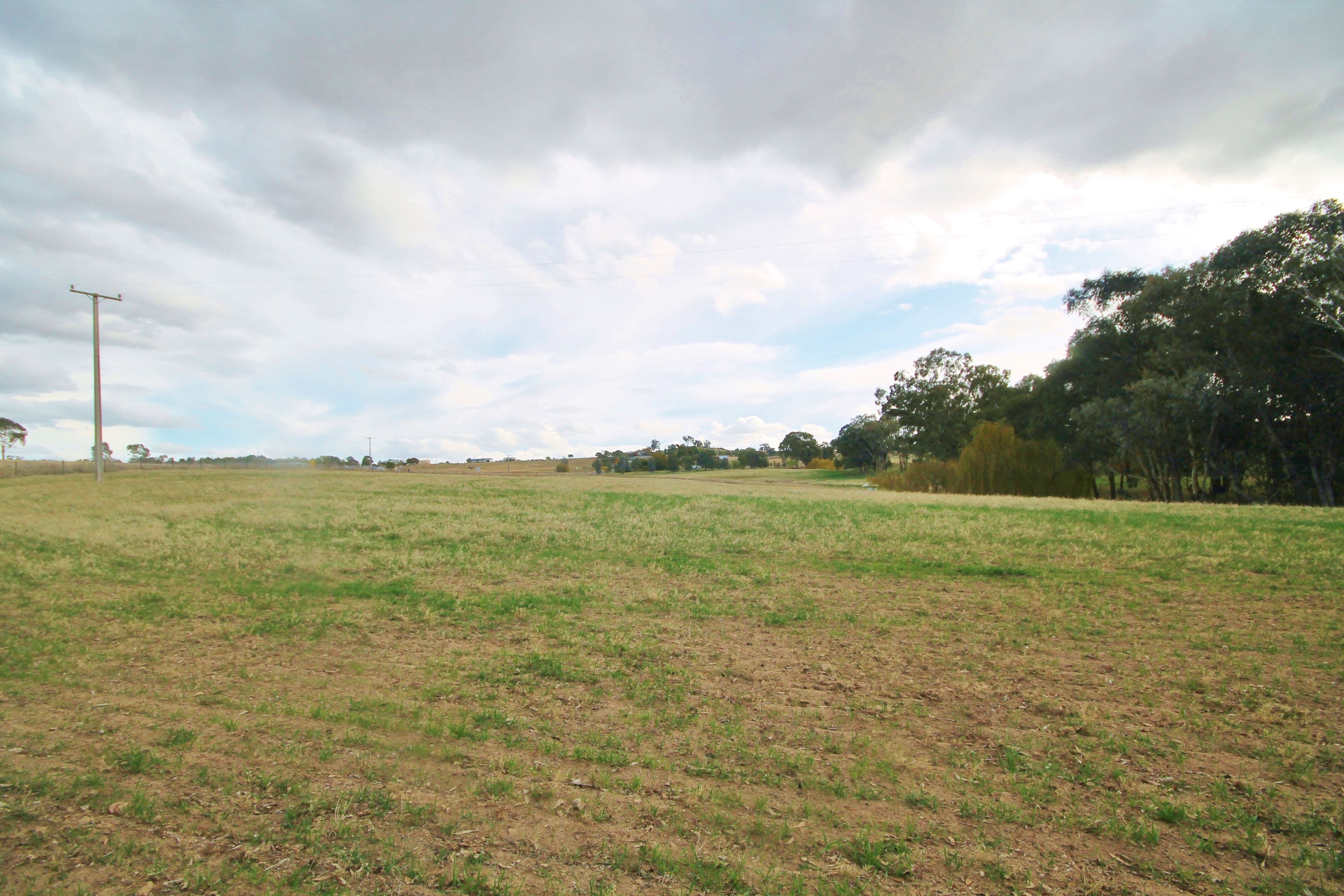 (Part) 373 Milvale Road, Young NSW 2594, Young - Thumbnail 7