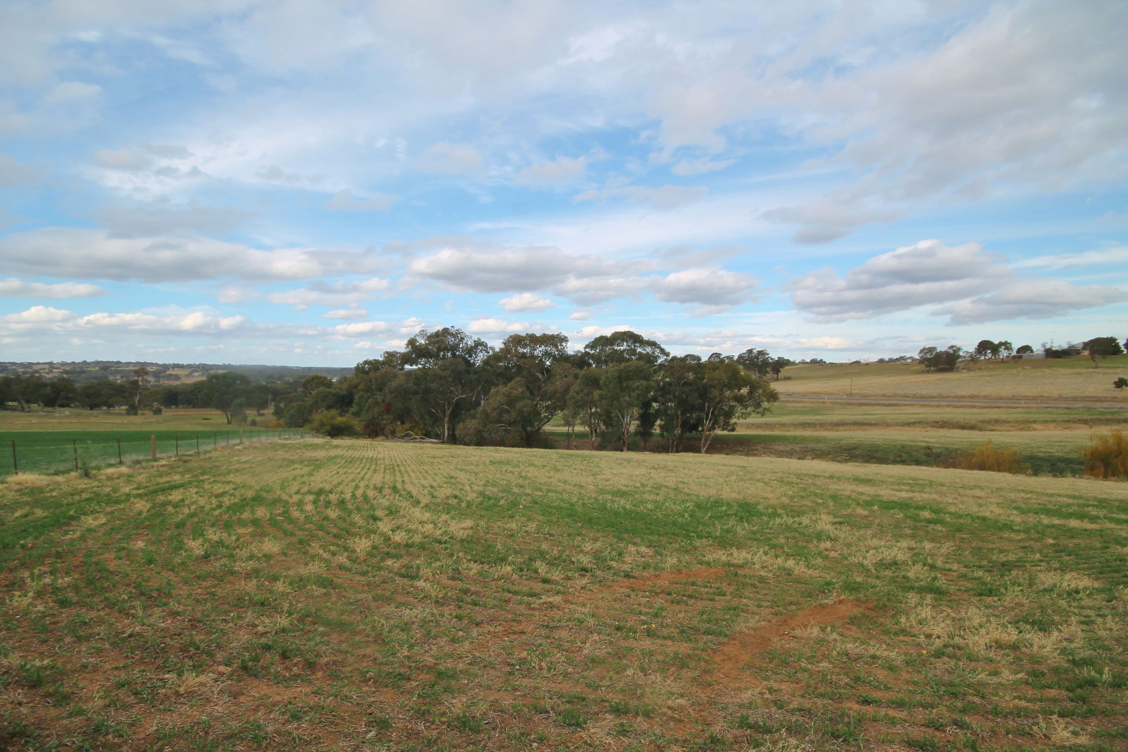(Part) 373 Milvale Road, Young NSW 2594, Young - Thumbnail 8