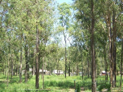 24 VIED, PALLARA QLD 4110, Pallara - Thumbnail 2