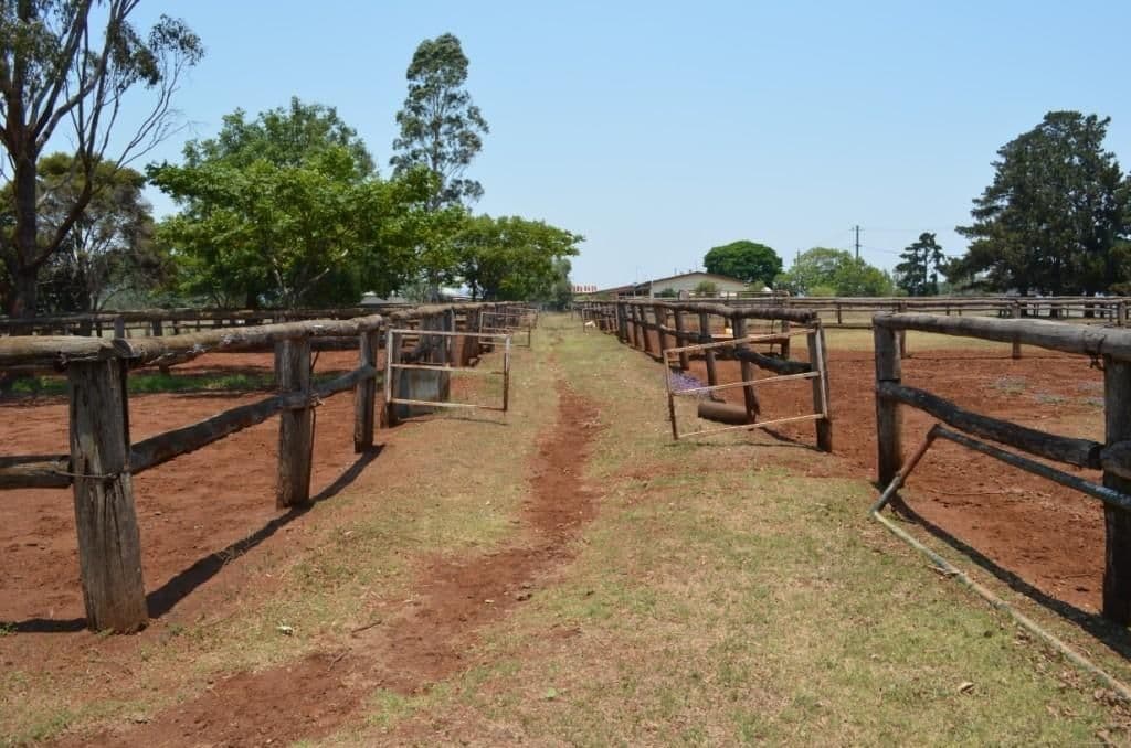 186 Hursley Road, GLENVALE QLD 4350, Glenvale - Thumbnail 2