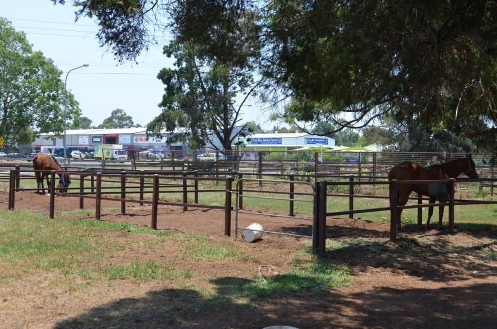 186 Hursley Road, GLENVALE QLD 4350, Glenvale - Thumbnail 5