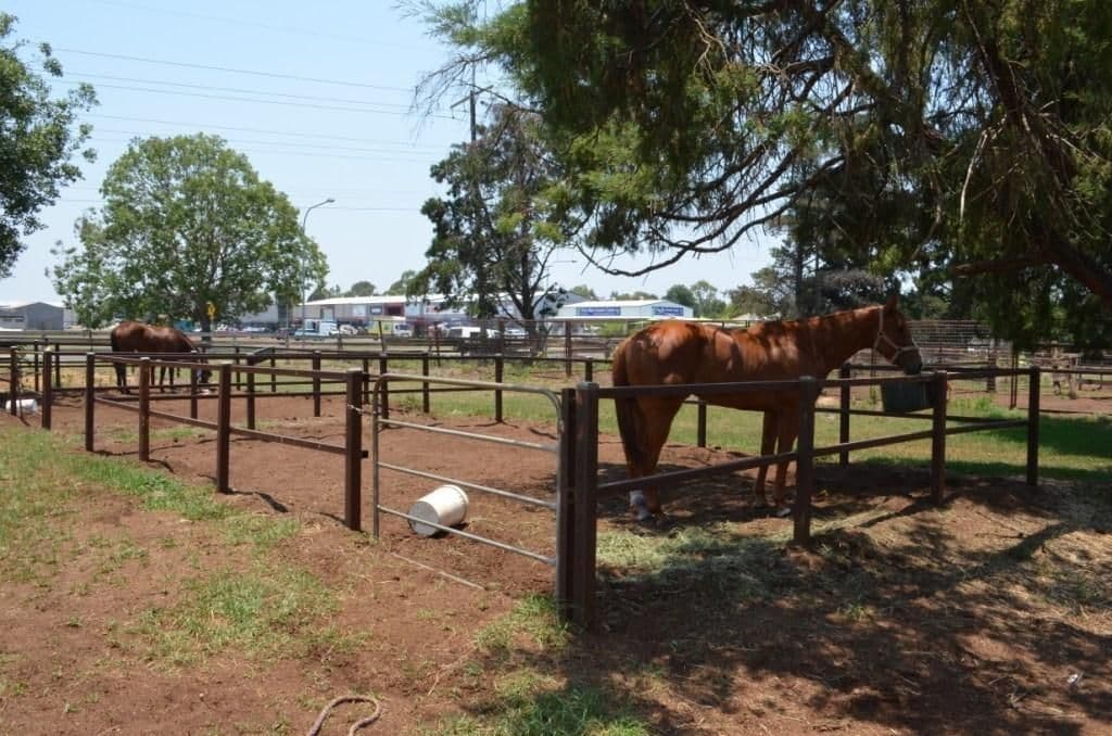 186 Hursley Road, GLENVALE QLD 4350, Glenvale - Thumbnail 8