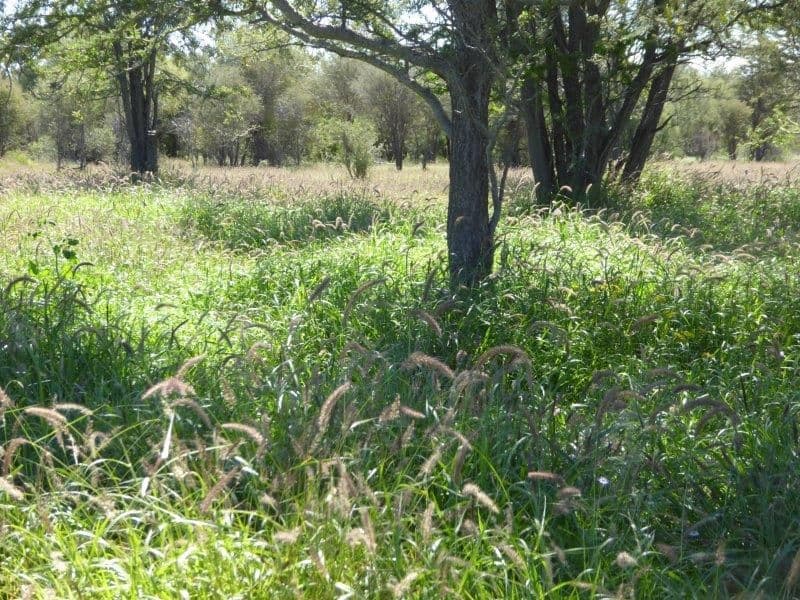 Lot 10 Frames Lane, Blackall QLD 4472, Blackall - Thumbnail 3