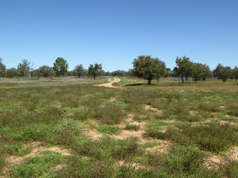 Lot 10 Frames Lane, Blackall QLD 4472, Blackall - Thumbnail 8