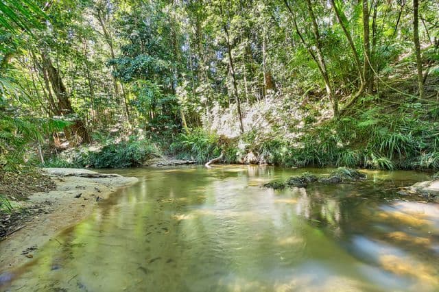 17 Gregory Terrace, KURANDA QLD 4881, Kuranda - Thumbnail 2