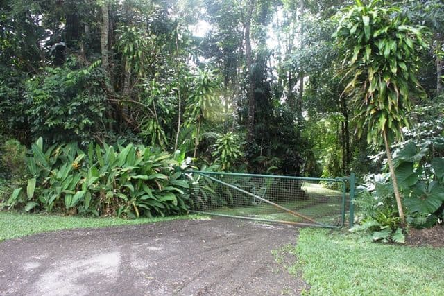 17 Gregory Terrace, KURANDA QLD 4881, Kuranda - Thumbnail 3