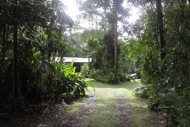 17 Gregory Terrace, KURANDA QLD 4881, Kuranda - Thumbnail 4