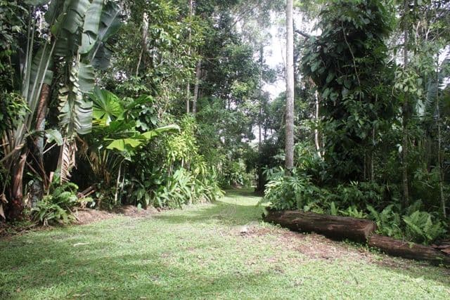 17 Gregory Terrace, KURANDA QLD 4881, Kuranda - Thumbnail 7