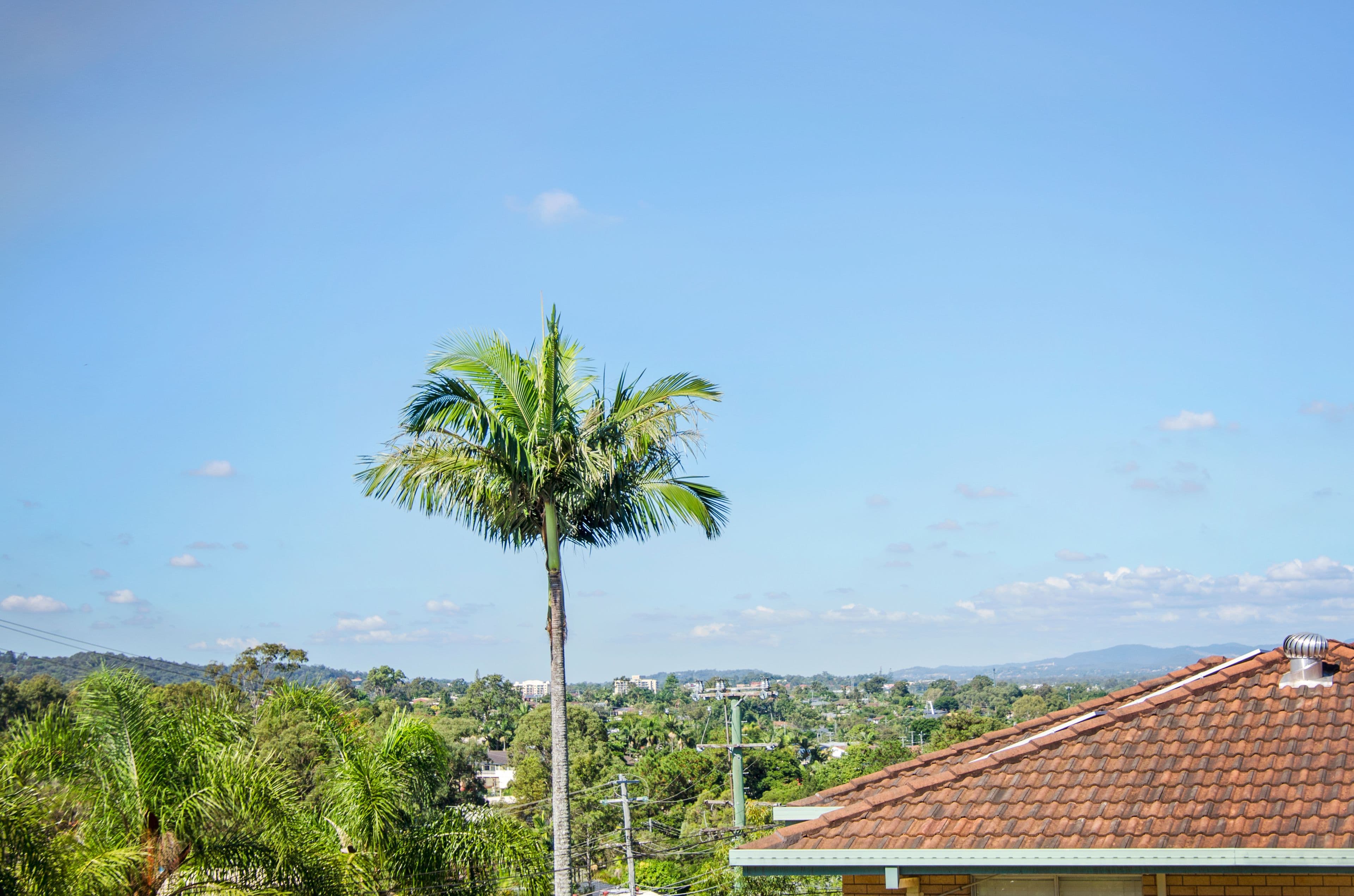 5 Louise Street, Underwood QLD 4119, Underwood - Thumbnail 5