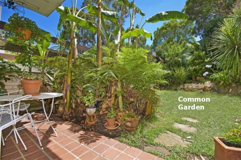 24 Landers Road, LANE COVE NSW 2066, Lane Cove - Thumbnail 2