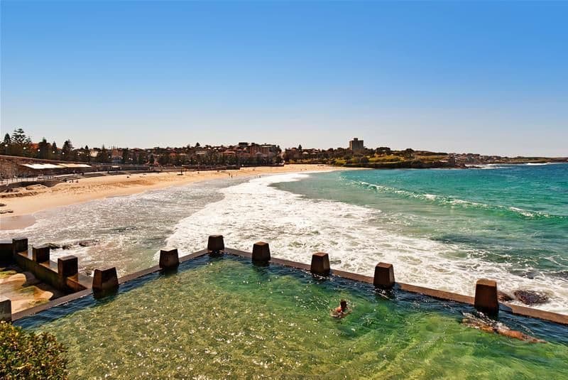137 Oberon Street, COOGEE NSW 2034, Coogee - Thumbnail 7