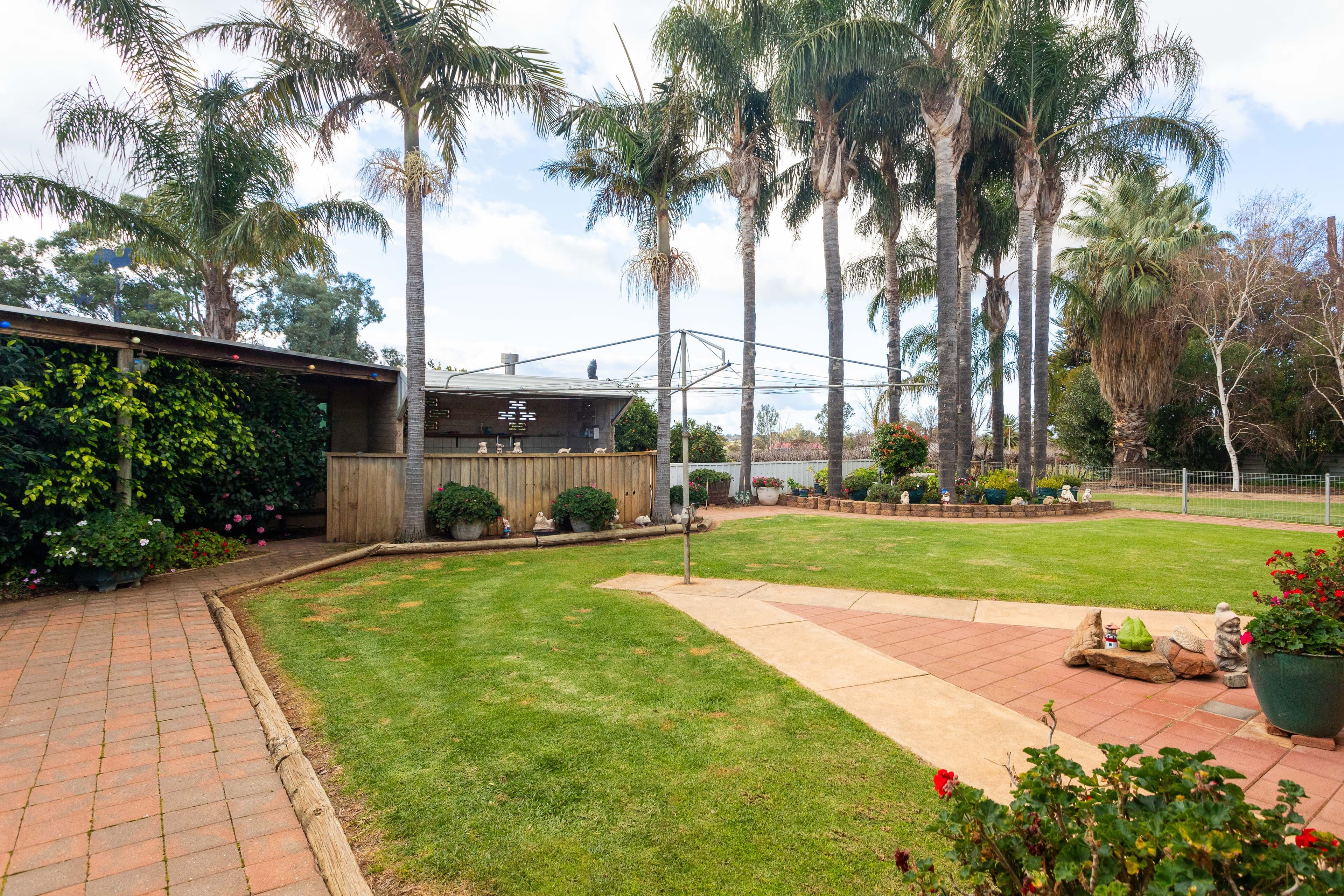 182 Comley Road, Barmera SA 5345, Barmera - Thumbnail 6
