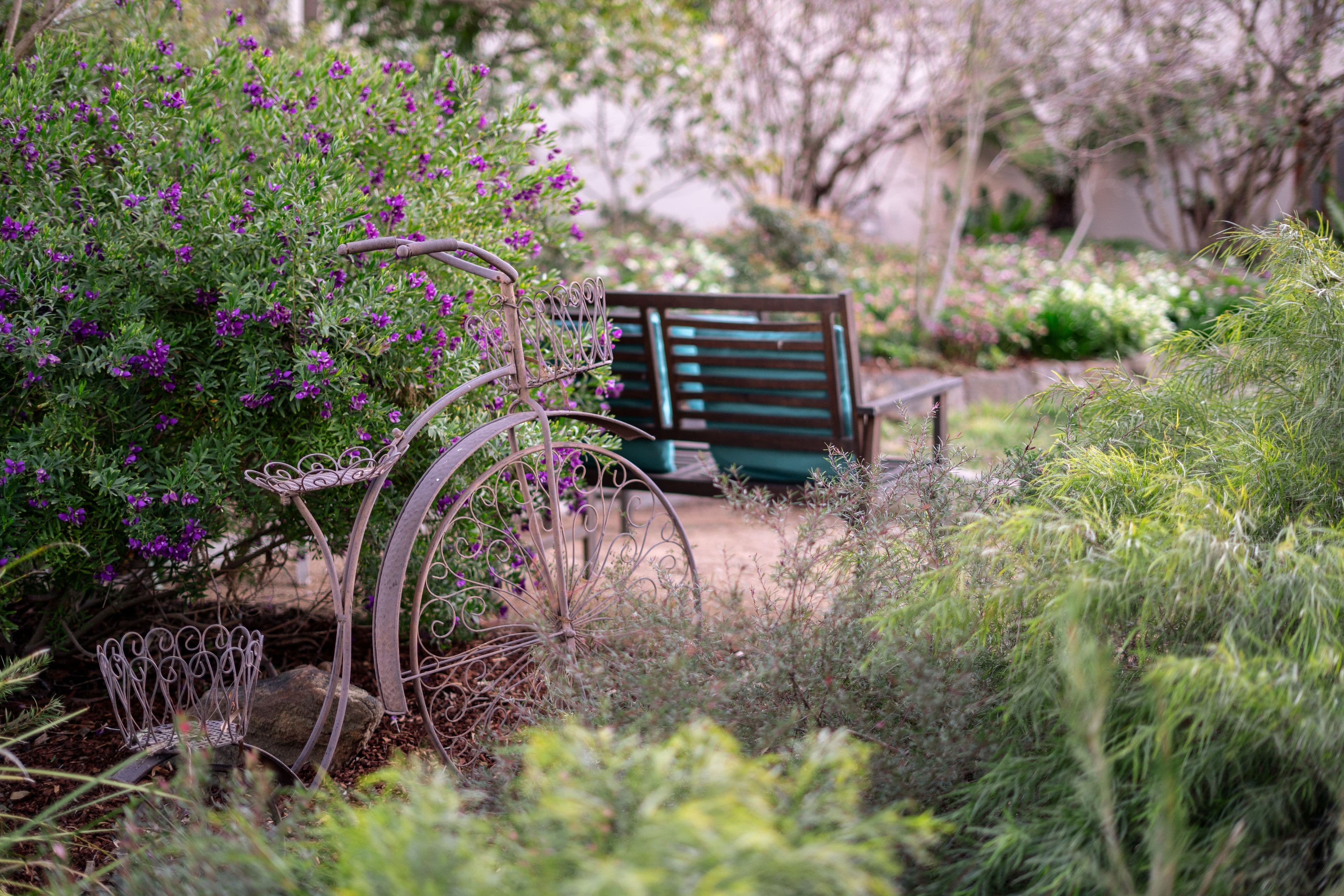 12 Booth Crescent, Cook ACT 2614, Cook - Thumbnail 6