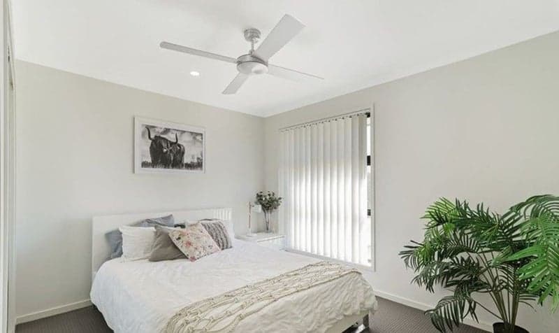 123 Richard Road, Mango Hill - Thumbnail 6