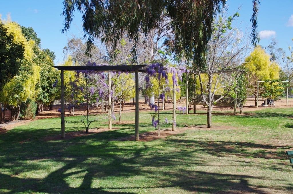 81 Murtho Road, Paringa SA 5340, Paringa - Thumbnail 6
