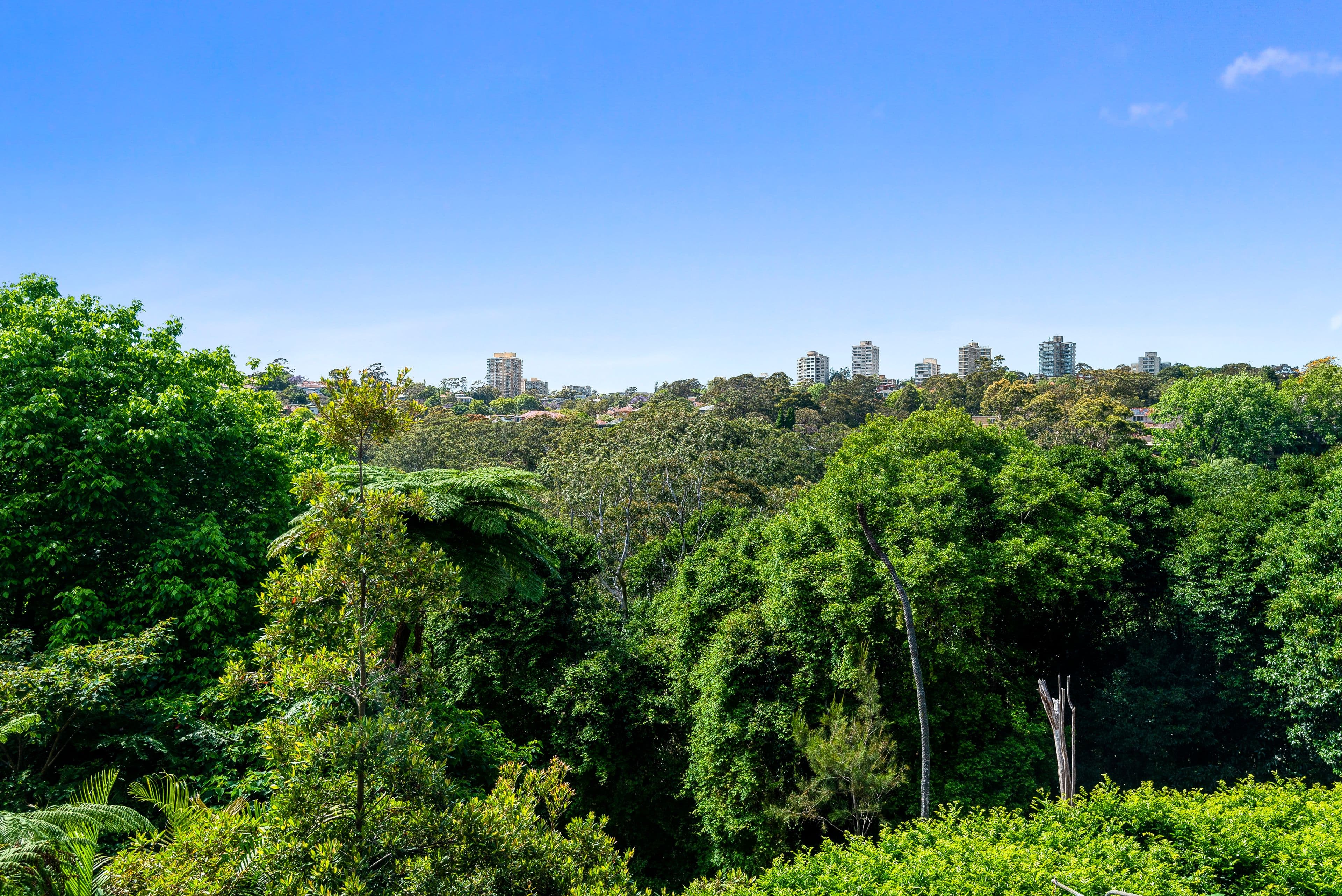 3 Churchill Crescent, Cammeray NSW 2062, Cammeray - Thumbnail 4