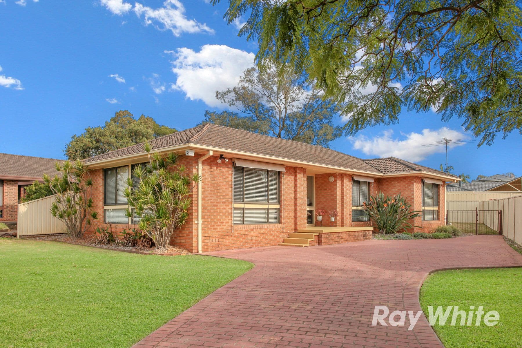 19 Mccartney Crescent, St Clair NSW 2759, St Clair - Image 1