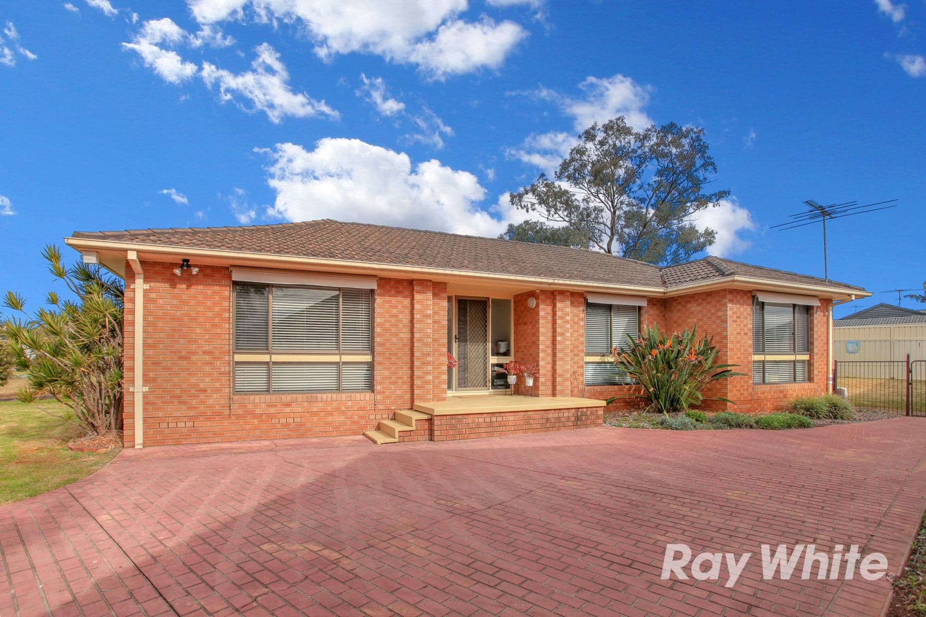19 Mccartney Crescent, St Clair NSW 2759, St Clair - Thumbnail 2