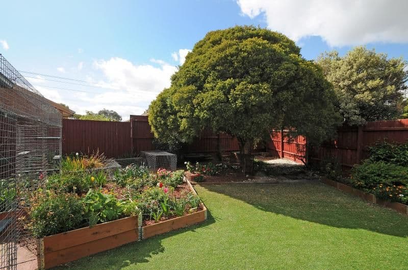 19 Talab Court, Chelsea Heights VIC 3196, Chelsea Heights - Thumbnail 4