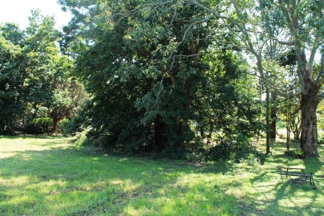 Tamborine Mountain QLD 4272, Tamborine Mountain - Thumbnail 6