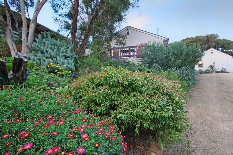 71 Michael Street, RYE VIC 3941, Rye - Thumbnail 8