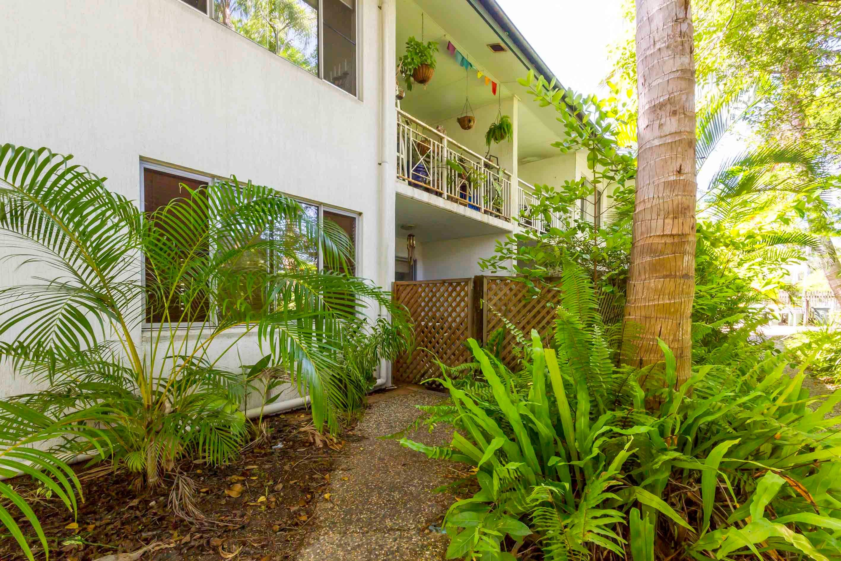 60 Mudlo Street, Port Douglas QLD 4877, Port Douglas - Thumbnail 5
