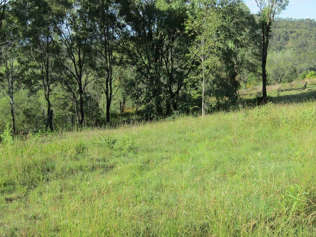 62-64 Francis Close, Kooralbyn QLD 4285, Kooralbyn - Thumbnail 2