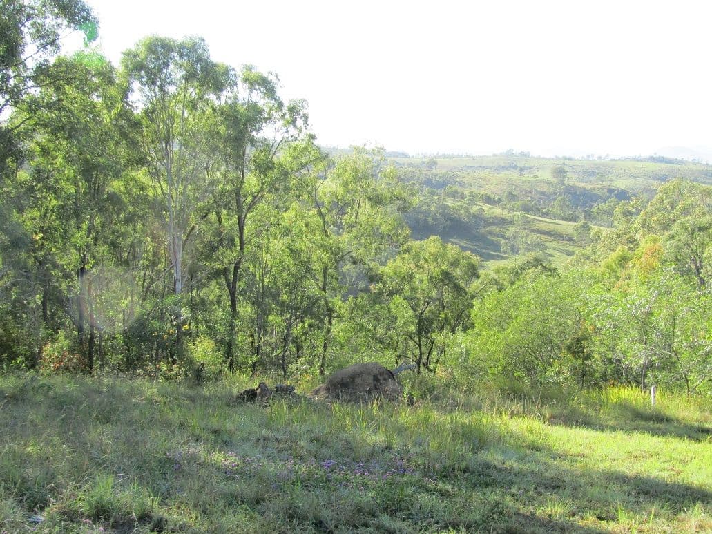 62-64 Francis Close, Kooralbyn QLD 4285, Kooralbyn - Thumbnail 3