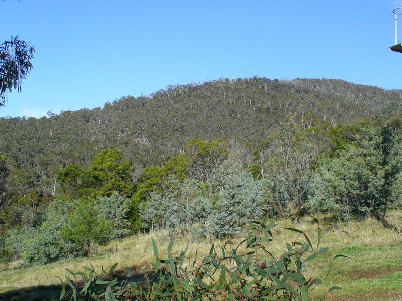 BERRIEDALE TAS 7011, Berriedale - Image 1