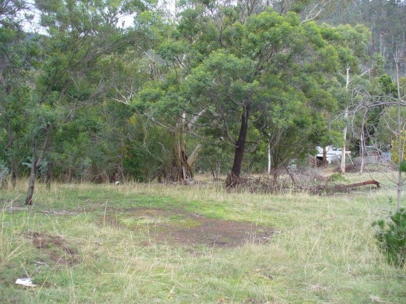 BERRIEDALE TAS 7011, Berriedale - Thumbnail 4