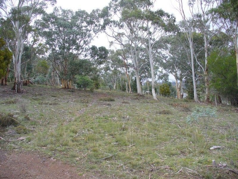 BERRIEDALE TAS 7011, Berriedale - Thumbnail 6