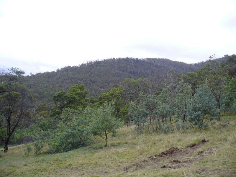 BERRIEDALE TAS 7011, Berriedale - Thumbnail 8