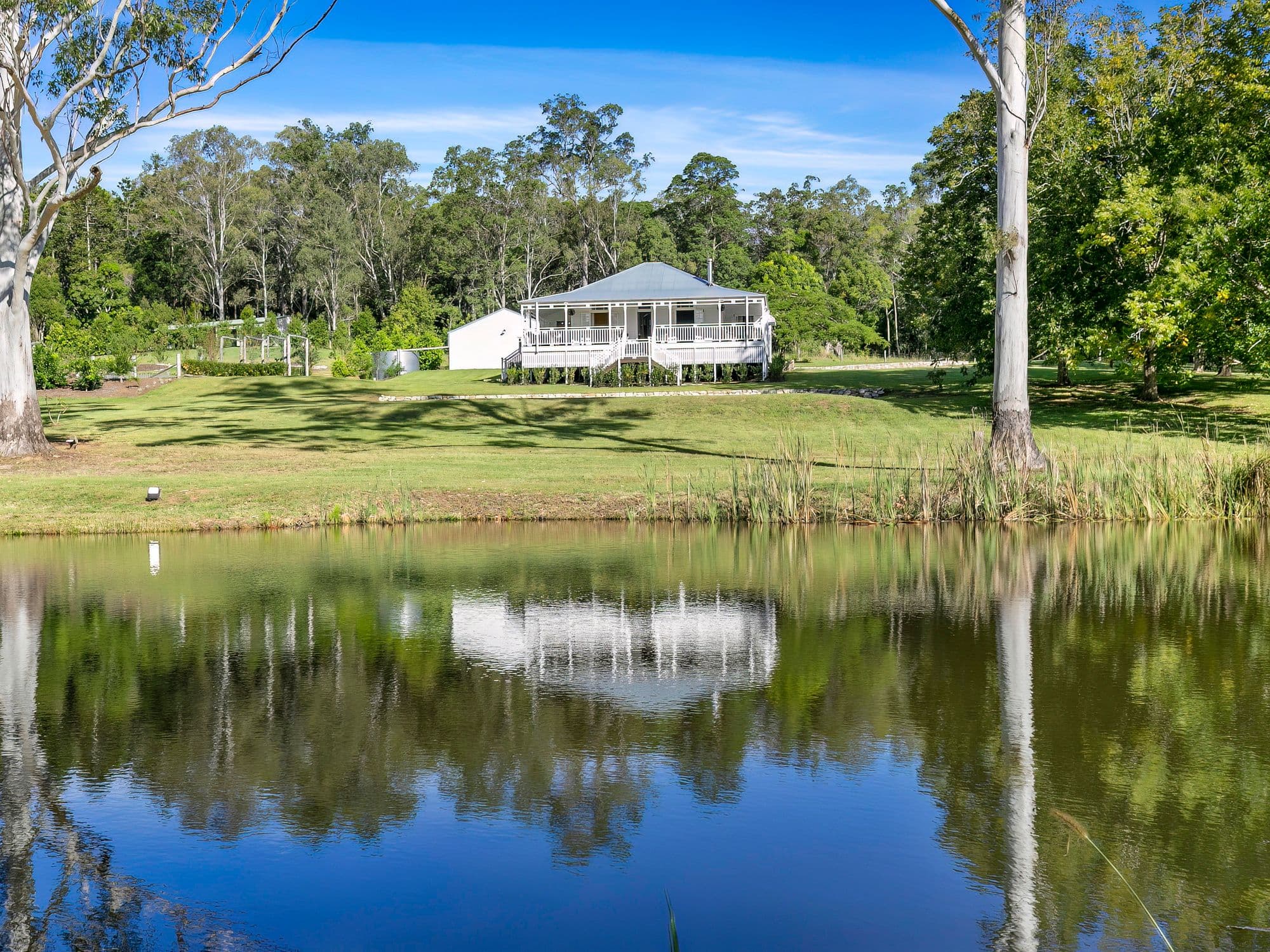 945 Neusa Vale Road, Kin Kin QLD 4571, Kin Kin - Thumbnail 4