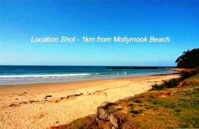 10 Ilett Street, MOLLYMOOK NSW 2539, Mollymook - Thumbnail 6