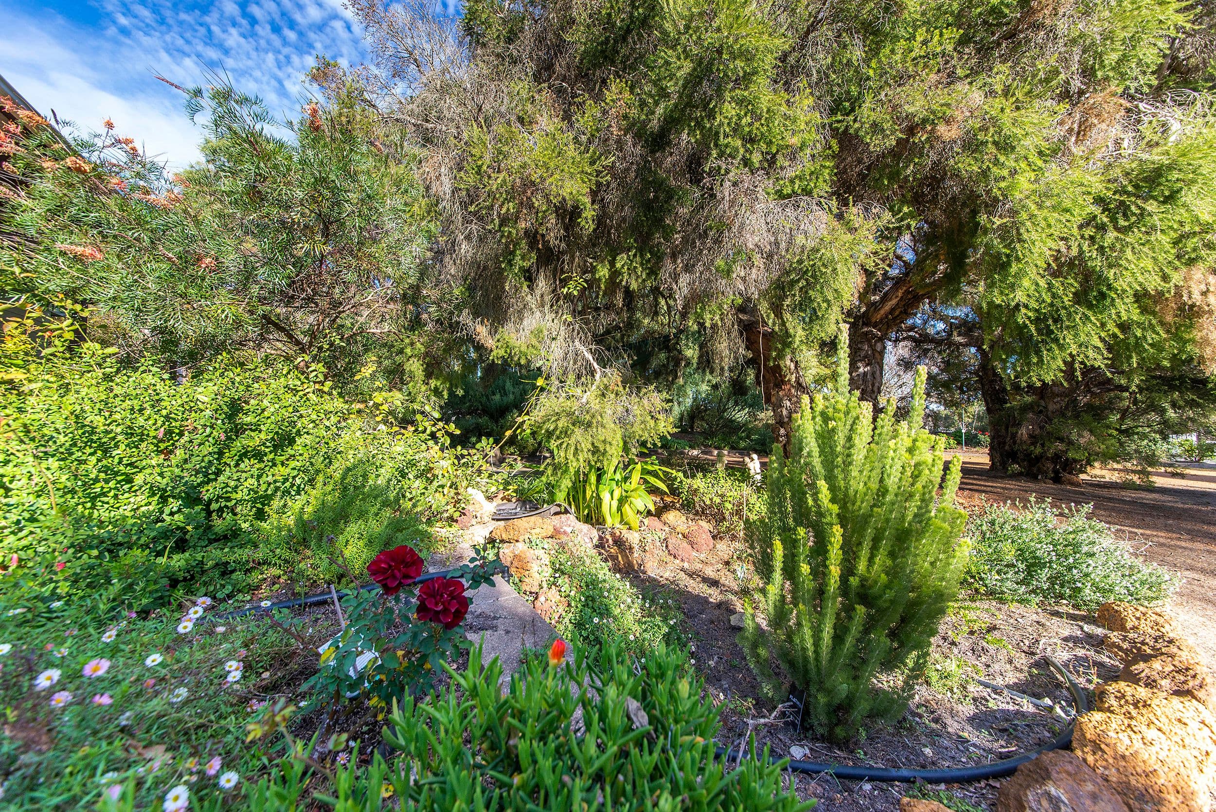 121 Warren Road, Nannup WA 6275, Nannup - Thumbnail 2