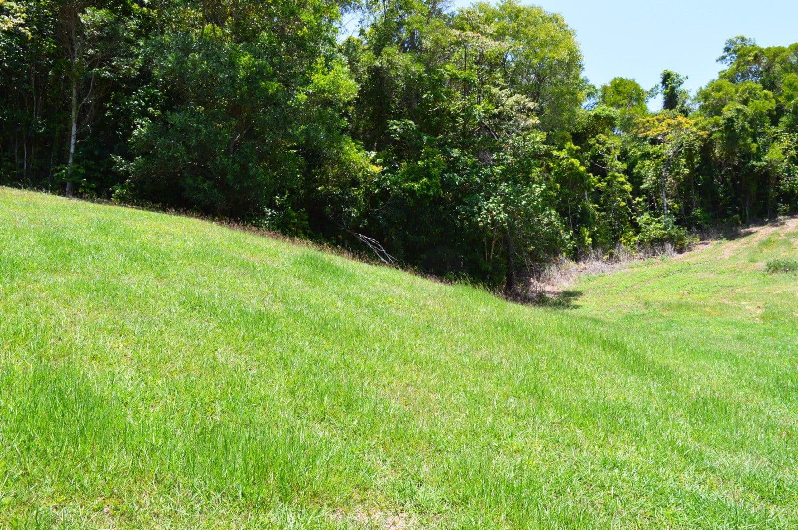 10 Bedarra Terrace, SOUTH MISSION QLD 4852, South Mission Beach - Thumbnail 5
