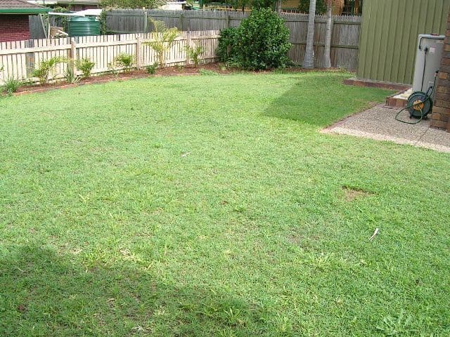 24 Evander Street, SUNNYBANK HILLS QLD 4109, Sunnybank Hills - Thumbnail 8
