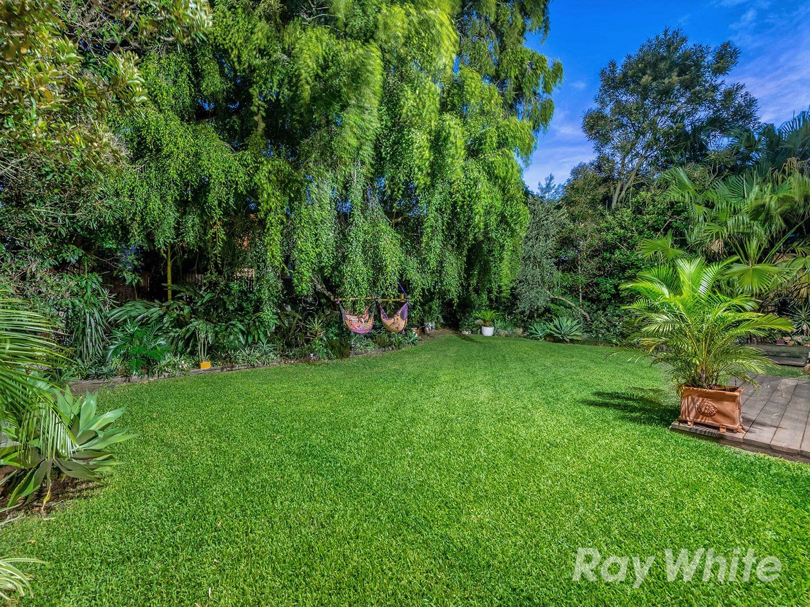38 Bale Street, Albion QLD 4010, Albion - Thumbnail 3