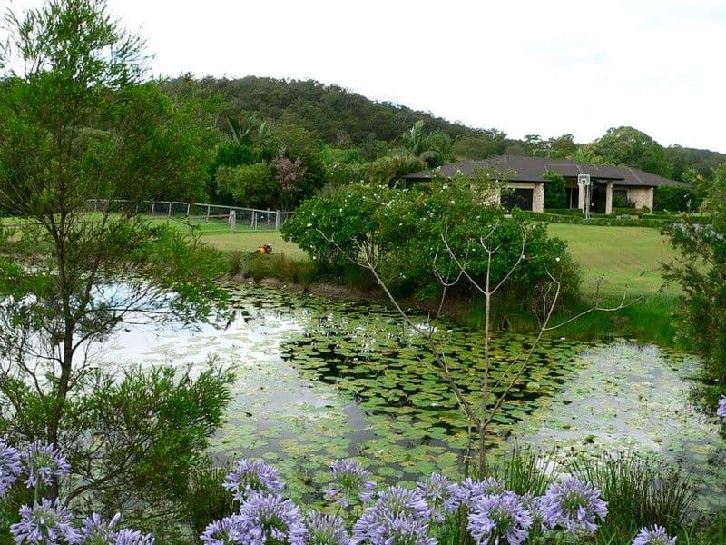 8 Coulter Road, WILLOW VALE QLD 4209, Willow Vale - Image 1
