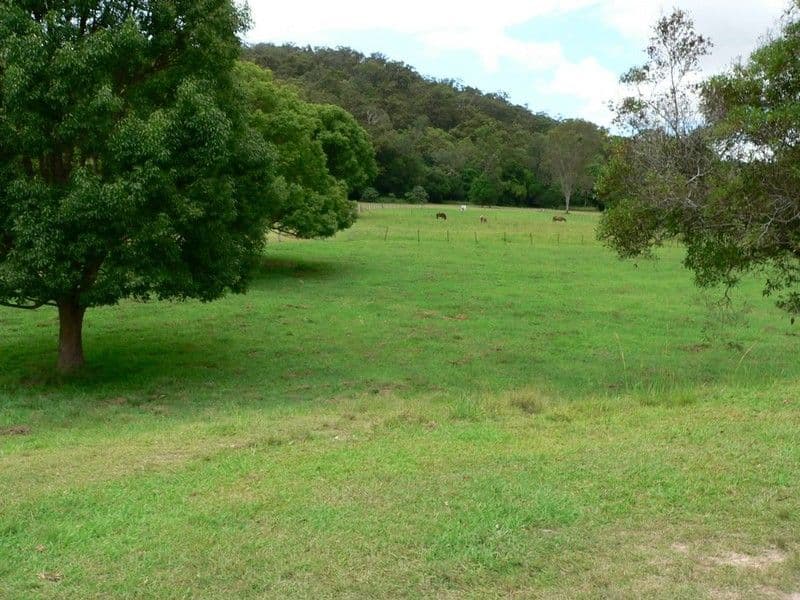8 Coulter Road, WILLOW VALE QLD 4209, Willow Vale - Thumbnail 5