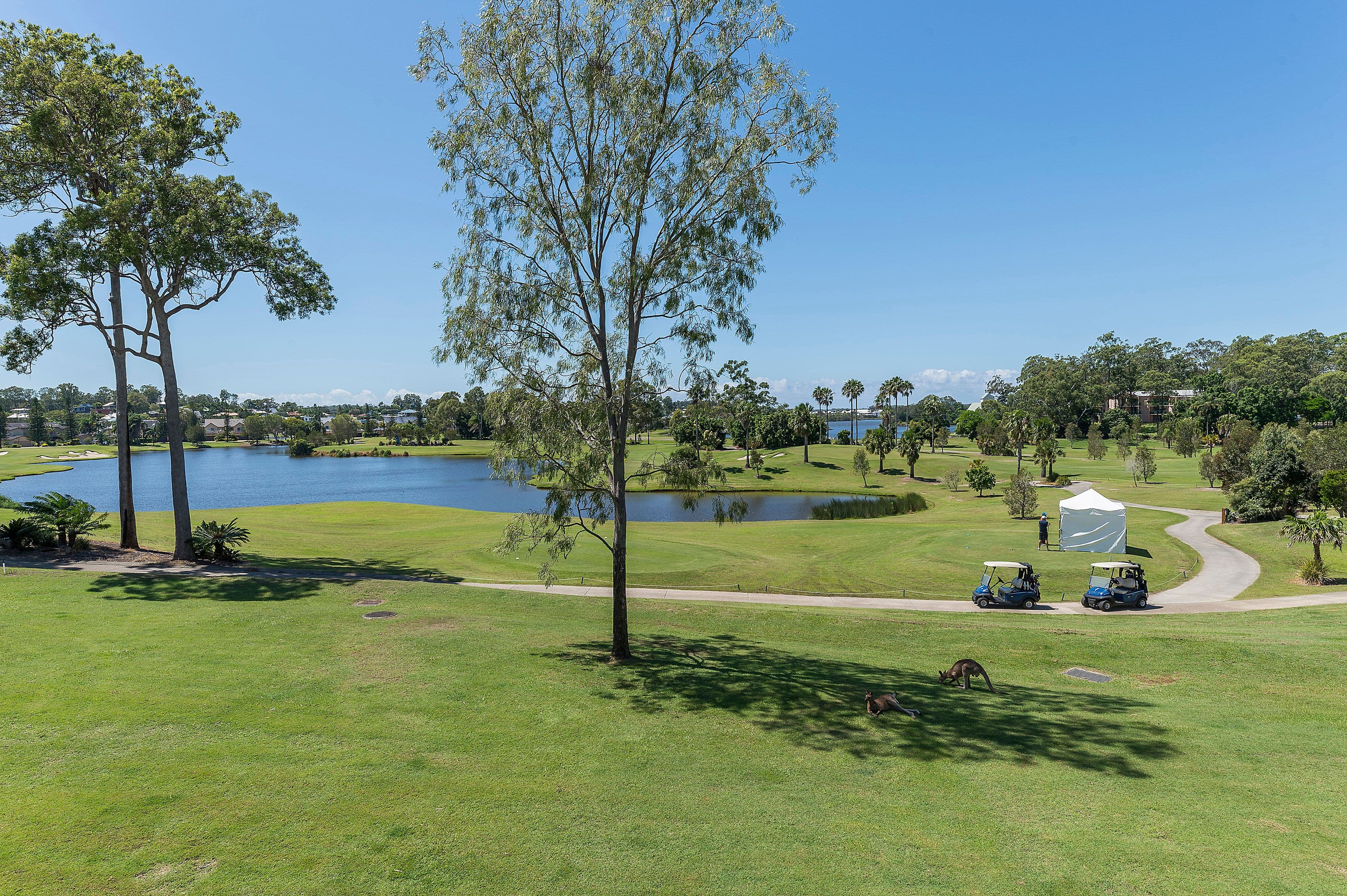 5459 Merion Terrace, Sanctuary Cove QLD 4212, Sanctuary Cove - Image 1