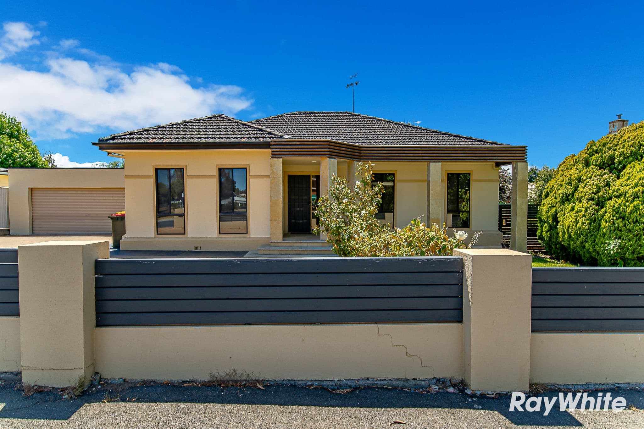 458 Napier Street, White Hills VIC 3550, White Hills - Thumbnail 2