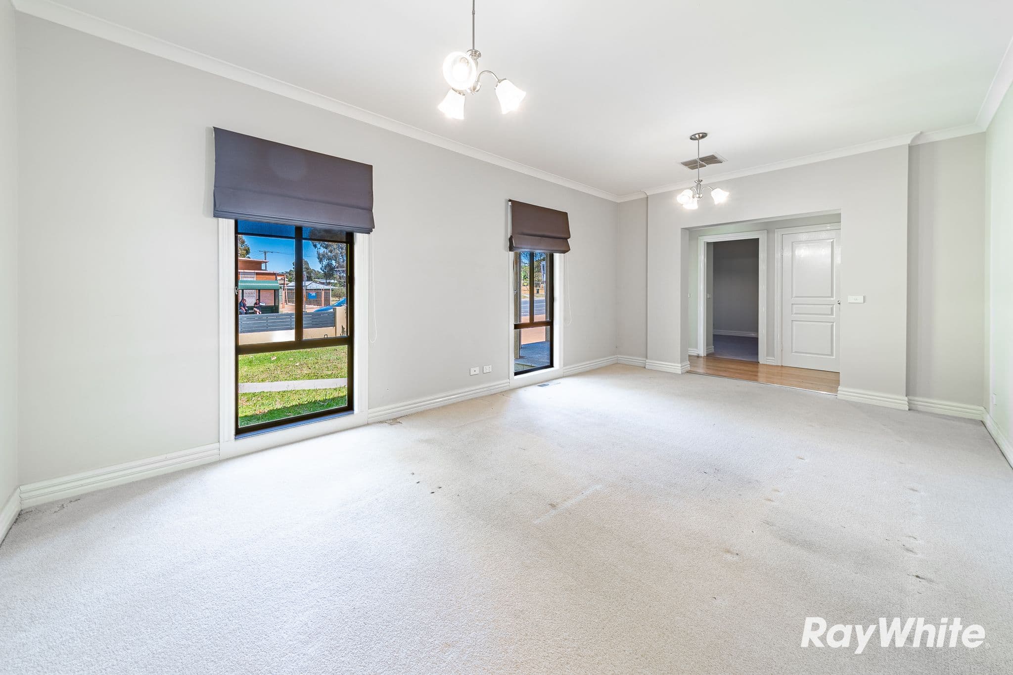 458 Napier Street, White Hills VIC 3550, White Hills - Thumbnail 8