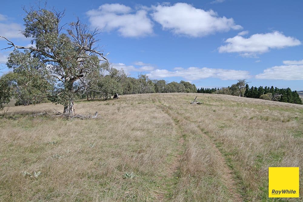 Lots 6-7 - part 757 Caddigat Road, Dry Plain NSW 2630, Dry Plain - Thumbnail 2