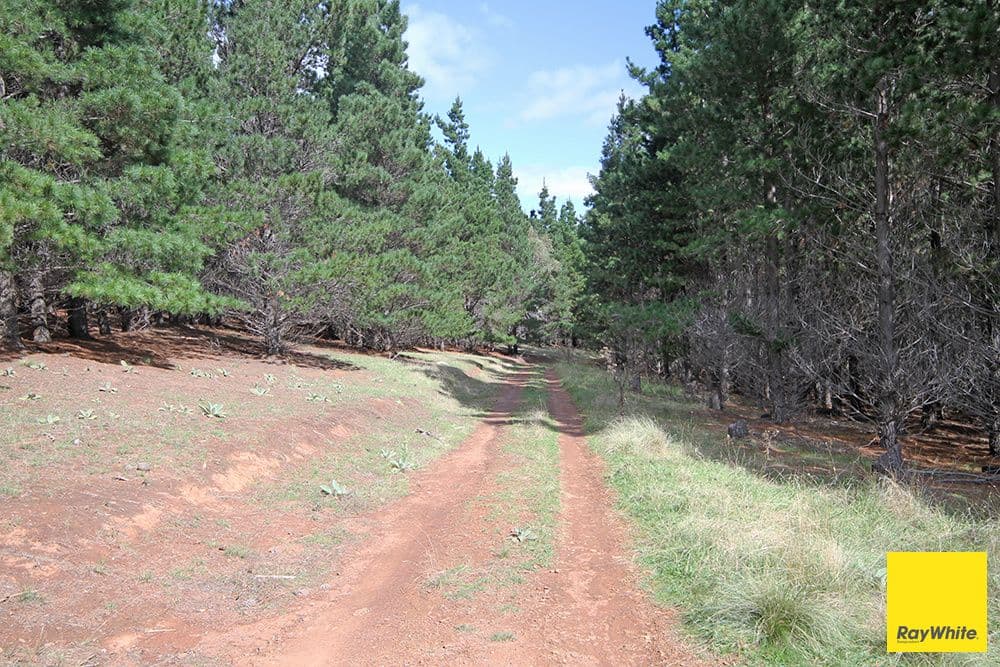 Lots 6-7 - part 757 Caddigat Road, Dry Plain NSW 2630, Dry Plain - Thumbnail 3