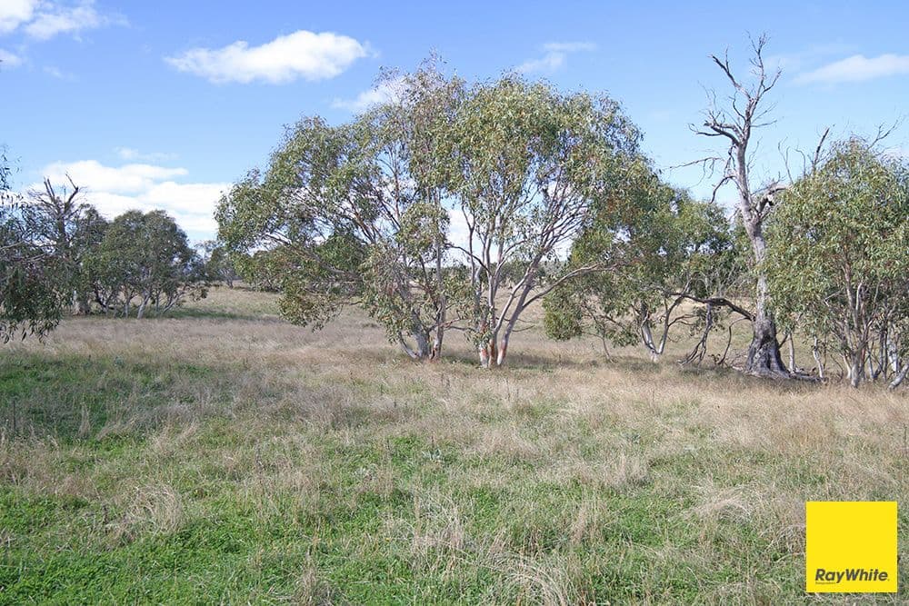 Lots 6-7 - part 757 Caddigat Road, Dry Plain NSW 2630, Dry Plain - Thumbnail 5