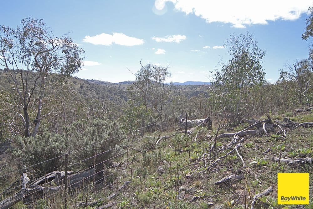 Lots 6-7 - part 757 Caddigat Road, Dry Plain NSW 2630, Dry Plain - Thumbnail 7