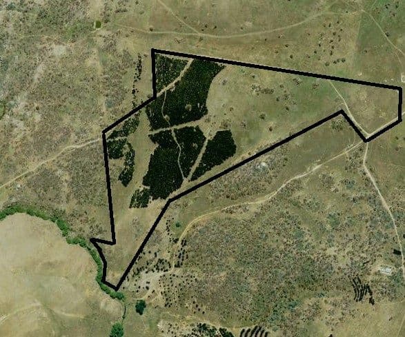 Lots 6-7 - part 757 Caddigat Road, Dry Plain NSW 2630, Dry Plain - Thumbnail 8