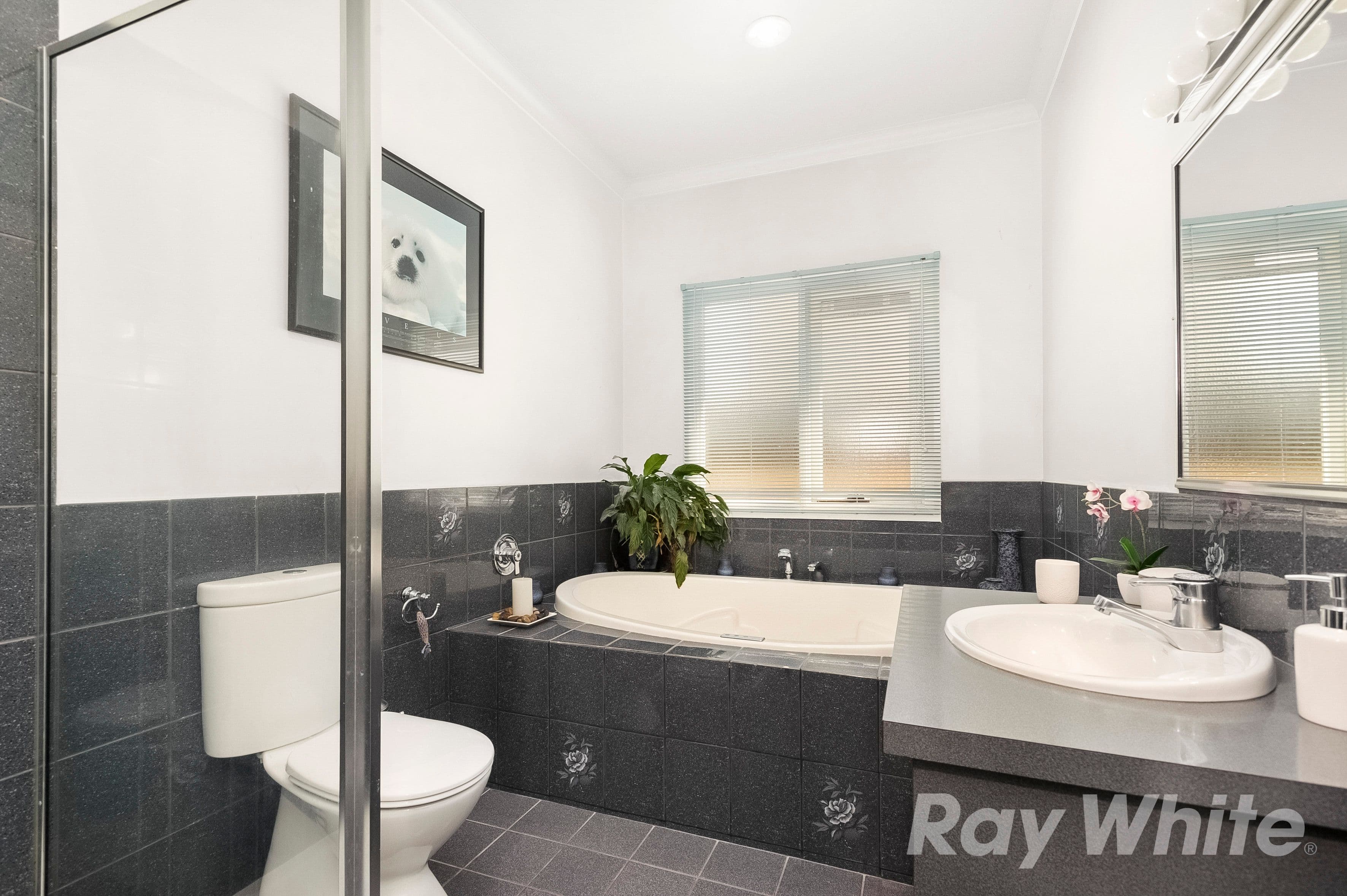 14 Maple Street, Mount Waverley VIC 3149, Mount Waverley - Thumbnail 4
