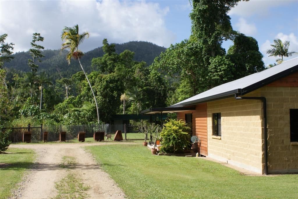 447 Bulgun Road, TULLY QLD 4854, Tully - Image 1